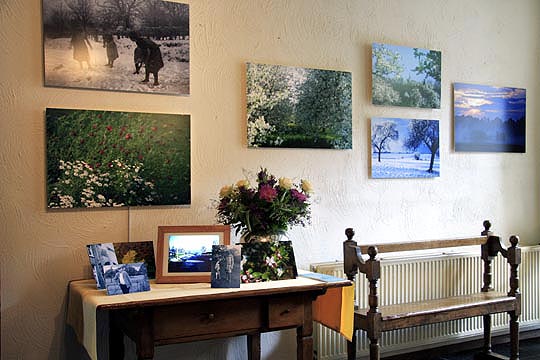 expositie Wetsels Weidsheid